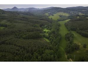 Prodej trvalého travního porostu, Cvikov, 23305 m2