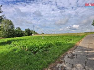 Prodej zemědělské půdy, Hlinsko - Čertovina, 12550 m2