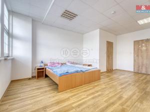 Pronájem ubytování, Břasy, 290 m2