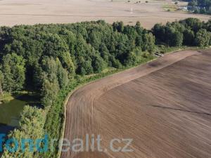 Prodej pozemku, Stráž nad Nežárkou, 464 m2