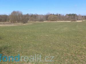 Prodej pole, Stříbřec, 10919 m2