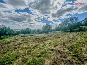 Prodej zahrady, Třebenice, 3500 m2