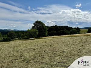 Prodej pozemku, Chotyně, 8922 m2