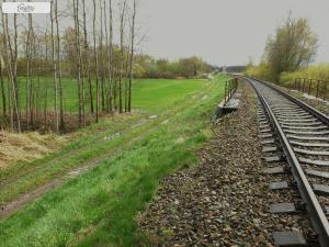 Prodej zemědělské půdy, Lomnice nad Lužnicí, 1106 m2