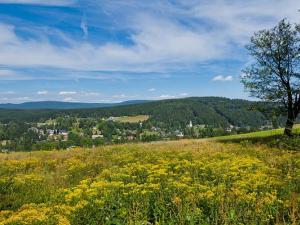 Prodej bytu 3+kk, Bedřichov, 75 m2