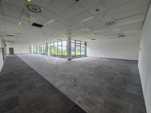 Pronájem kanceláře, Brno - Královo Pole, Technická, 4000 m2