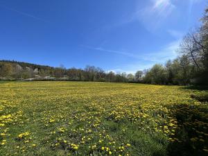 Prodej zemědělské půdy, Kájov - Staré Dobrkovice, 15428 m2