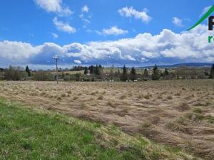 Prodej pozemku pro komerční výstavbu, Tachov, 17615 m2