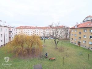 Pronájem bytu 2+1, Kolín, Mikoláše Alše, 56 m2