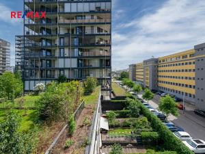 Prodej bytu 1+kk, Praha - Žižkov, Pitterova, 62 m2