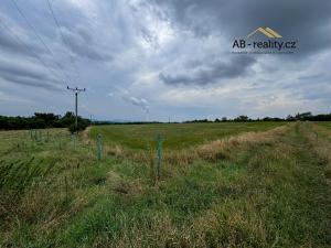 Prodej zemědělské půdy, Jeníkov, 28600 m2