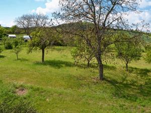 Prodej pozemku pro bydlení, Třebenice, 5800 m2