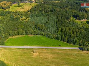 Prodej trvalého travního porostu, Hracholusky - Obora, 8721 m2