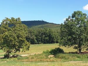 Prodej pozemku pro bydlení, Louňovice pod Blaníkem, 1221 m2