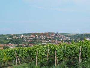 Prodej pozemku, Kobylí, 1799 m2