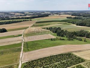 Prodej zemědělské půdy, Ludgeřovice, 2506 m2