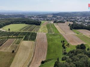 Prodej zemědělské půdy, Ludgeřovice, 2506 m2