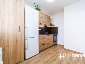 Prodej bytu 2+1, Olomouc, Dlouhá, 47 m2