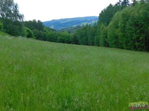 Prodej trvalého travního porostu, Semily, Cihlářská, 12565 m2