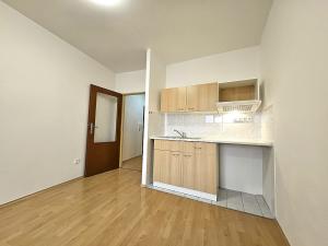 Pronájem bytu 1+kk, Brno, Svitavské nábřeží, 28 m2