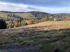 Prodej trvalého travního porostu, Bedřichov, 15452 m2