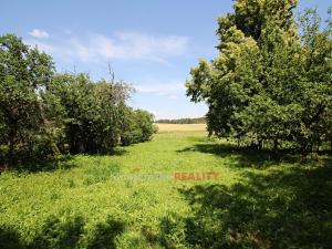 Prodej rodinného domu, Grešlové Mýto, 100 m2