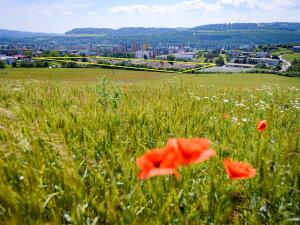 Prodej bytu 2+kk, Beroun, Na Máchovně, 64 m2