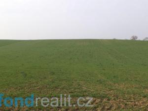 Prodej zemědělské půdy, Jalubí, 4751 m2