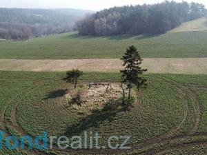 Prodej zemědělské půdy, Krchleby, 7831 m2