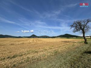 Prodej zemědělské půdy, Třebenice, 104829 m2