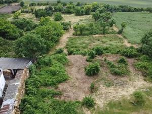 Prodej rodinného domu, Nebužely, 300 m2