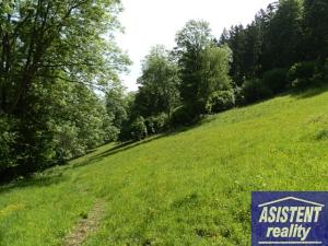 Prodej trvalého travního porostu, Vernířovice, 75965 m2