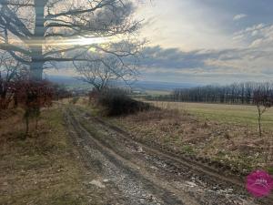 Prodej trvalého travního porostu, Bělkovice-Lašťany, 27123 m2