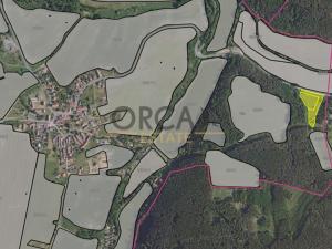 Prodej trvalého travního porostu, Drahoňův Újezd, 8816 m2