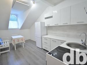 Pronájem bytu 1+1, Karlovy Vary, Svahová, 31 m2