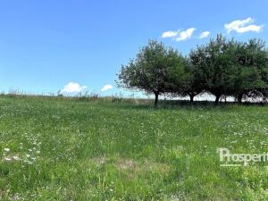 Prodej trvalého travního porostu, Svijanský Újezd, 8064 m2