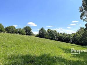 Prodej trvalého travního porostu, Svijanský Újezd, 8064 m2