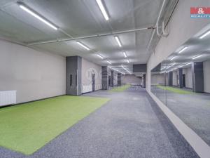 Pronájem obchodního prostoru, Plzeň - Bolevec, Gerská, 845 m2