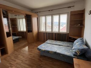 Pronájem bytu 1+kk, Brno, Merhautova, 30 m2