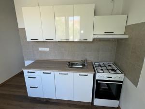 Pronájem bytu 1+1, Nový Jičín, Luční, 40 m2