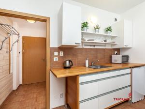 Pronájem bytu 2+kk, Černý Důl, 42 m2