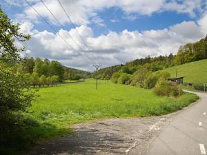 Prodej zahrady, Luhačovice, Družstevní, 1000 m2