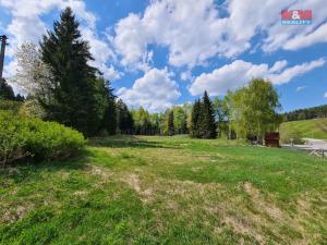 Prodej pozemku pro bydlení, Stachy, 5556 m2