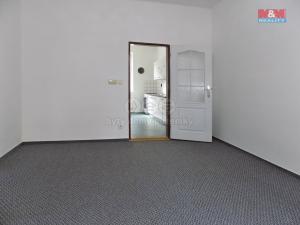 Pronájem bytu 1+1, Děčín - Děčín VI-Letná, Budapešťská, 40 m2