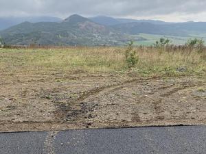 Prodej komerčního pozemku, Prackovice nad Labem, 91570 m2