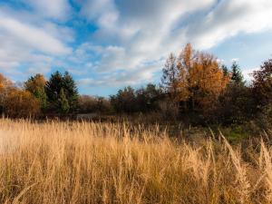 Prodej pozemku pro bydlení, Květnice, Ohnicová, 593 m2