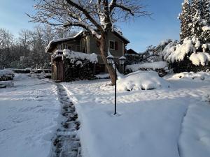 Pronájem rodinného domu, Nosálov, 230 m2