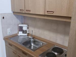 Prodej bytu 1+kk, Vohenstrauß, Německo, 32 m2