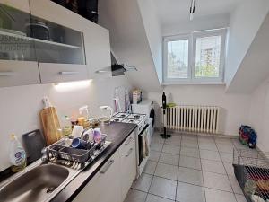 Pronájem bytu 1+1, Frýdek-Místek, U Nemocnice, 39 m2