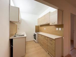 Pronájem bytu 2+kk, Ústí nad Labem, Klíšská, 51 m2